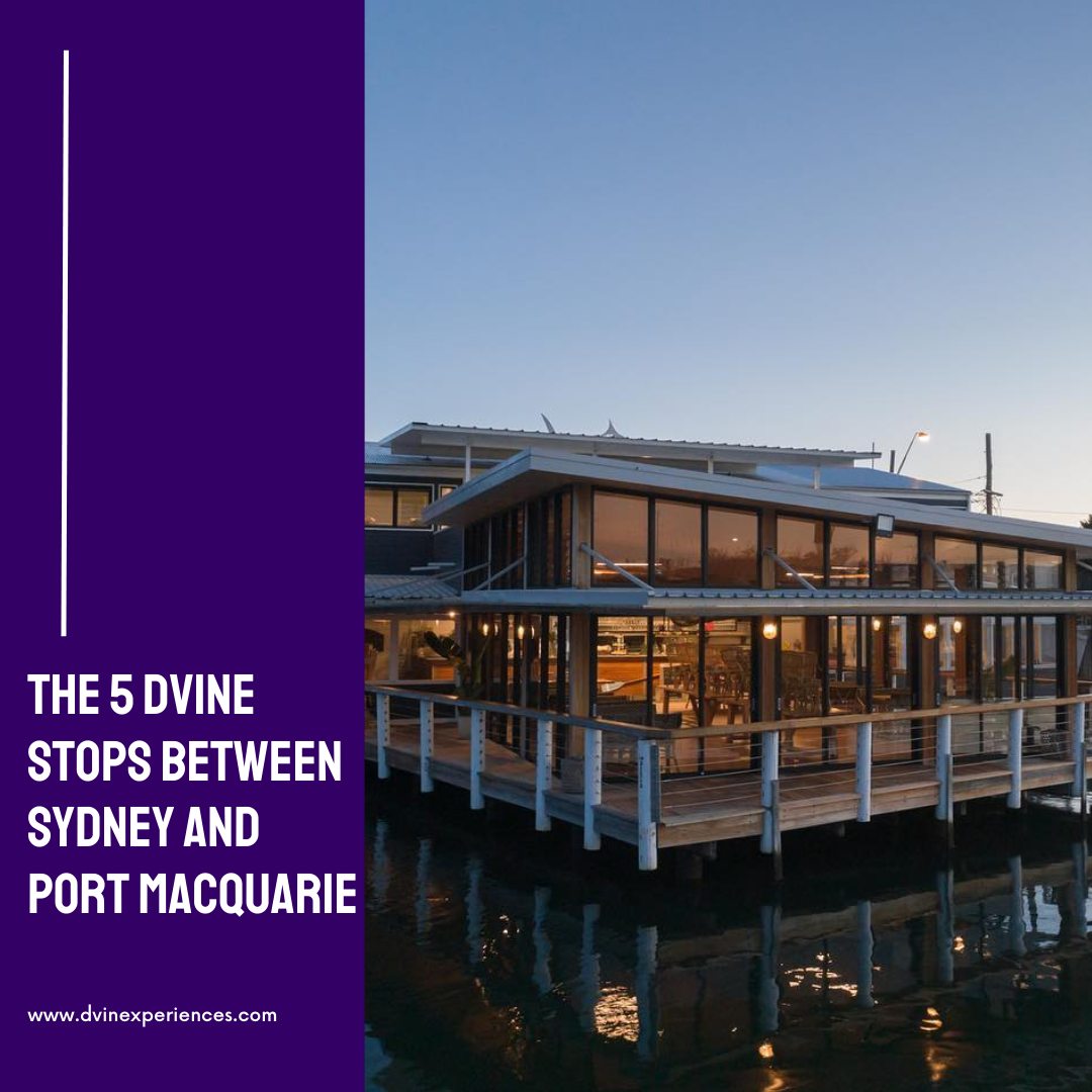 The 5 DVINE Stops Between Sydney and Port Macquarie