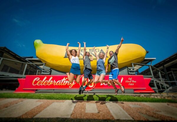 🌟 NEW Family-Friendly Tour in Coffs Harbour! 🌟