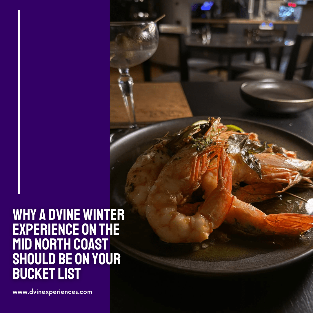 Why a DVINE Winter Experience on the Mid North Coast Should Be on Your Bucket List