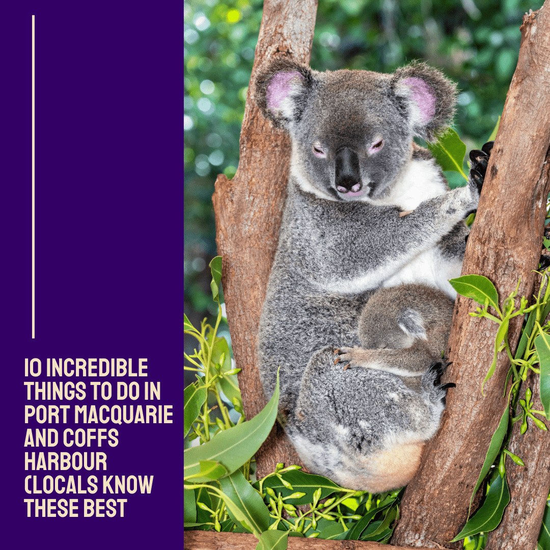 10 Incredible Things to Do in Port Macquarie and Coffs Harbour (Locals Know These Best)